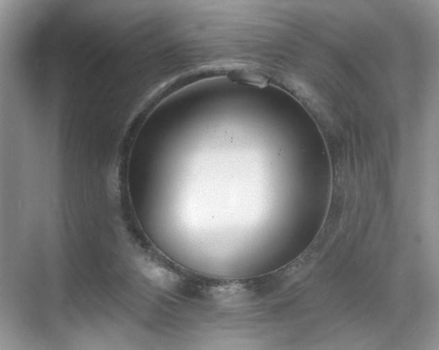 X0000070360112200606121219