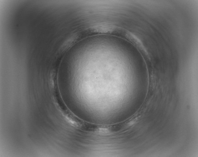 X0000070360114200606121219