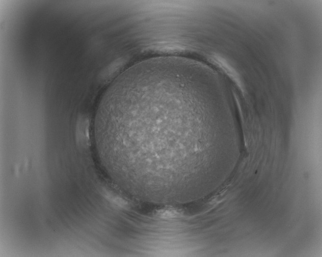 X0000070360115200606121219