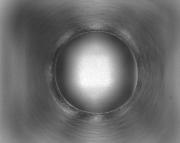 X0000070360116200606121219