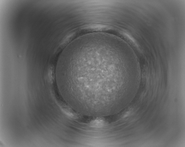 X0000070360119200606121219