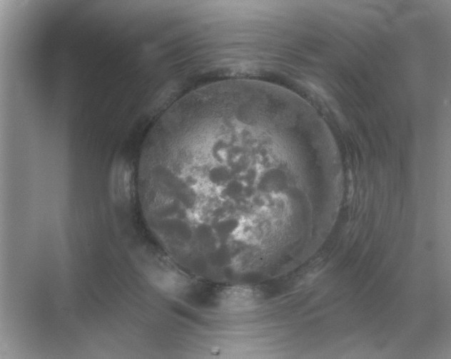 X0000070360123200606121219