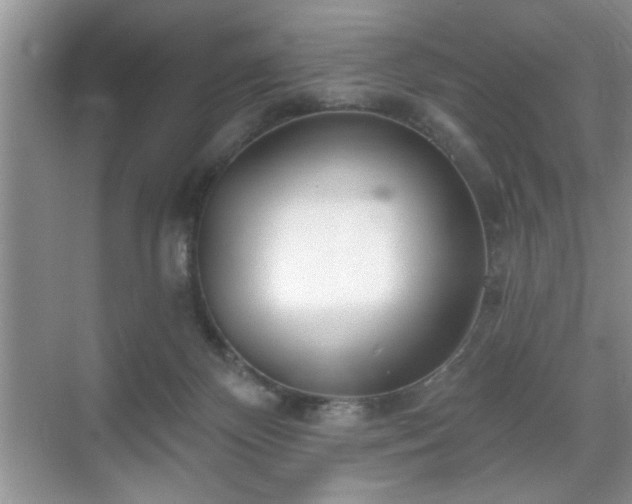 X0000070360124200606121219