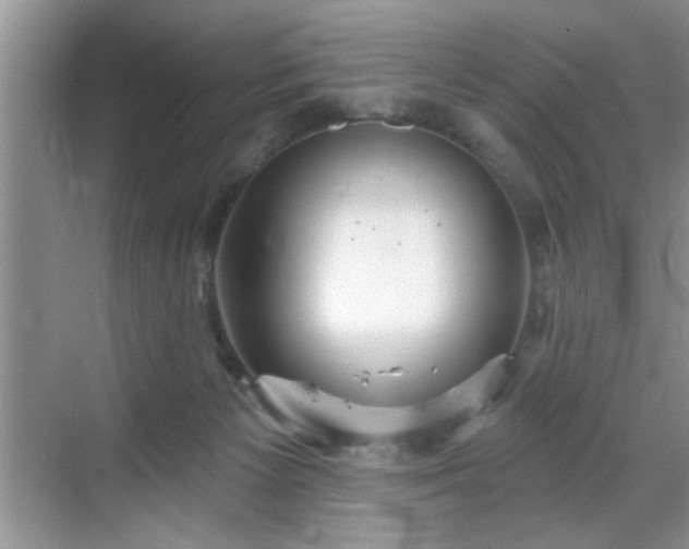 X0000070360125200606121219