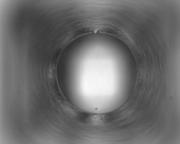 X0000070360126200606121219