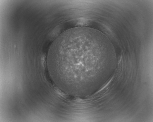 X0000070360127200606121219