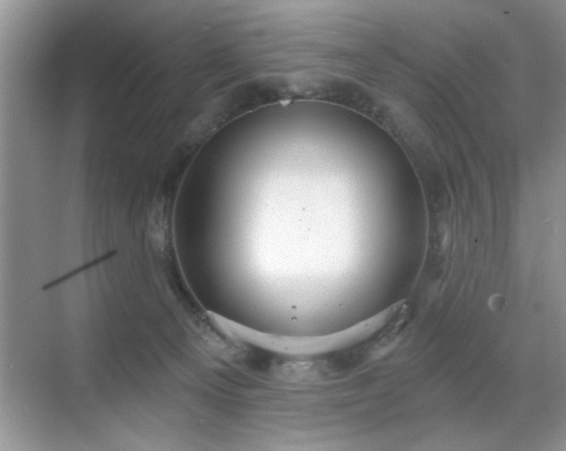 X0000070360129200606121219