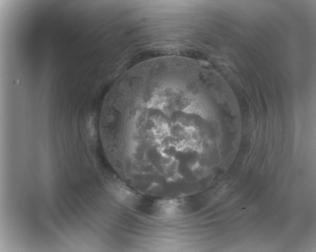 X0000070360131200606121219