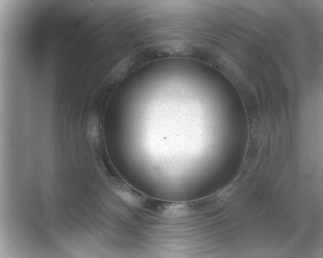 X0000070360132200606121219