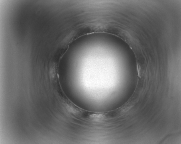 X0000070360133200606121219