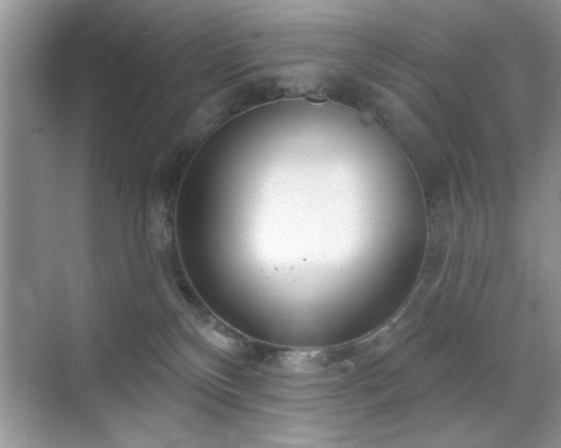 X0000070360136200606121219