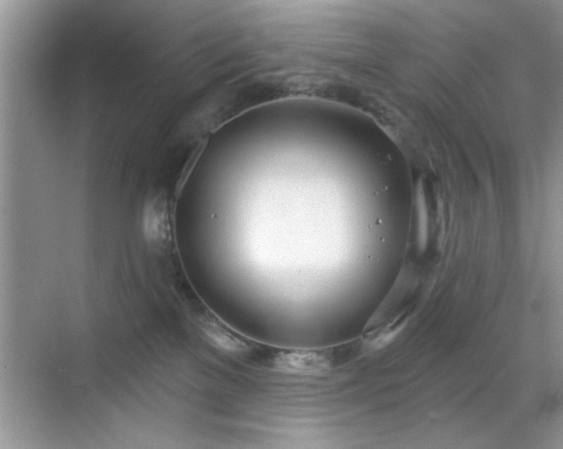 X0000070360137200606121219