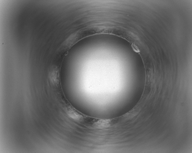 X0000070360138200606121219