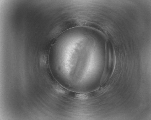 X0000070360139200606121219