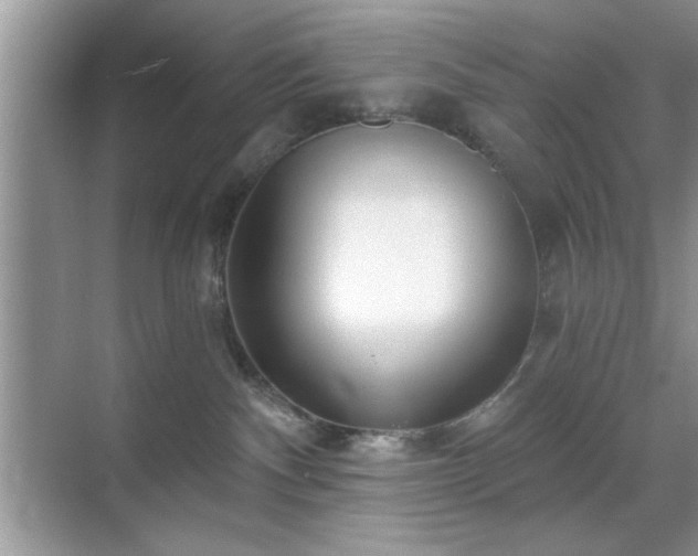 X0000070360140200606121219