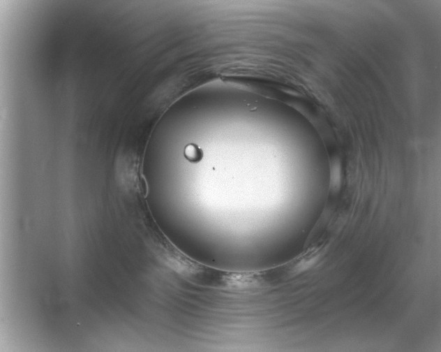 X0000070360141200606121219