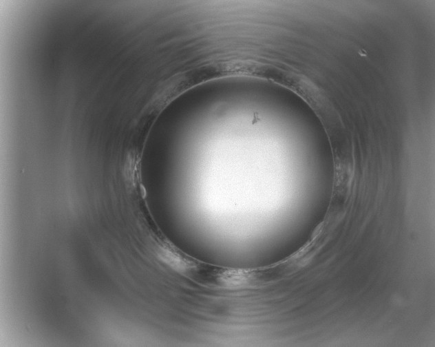 X0000070360142200606121219