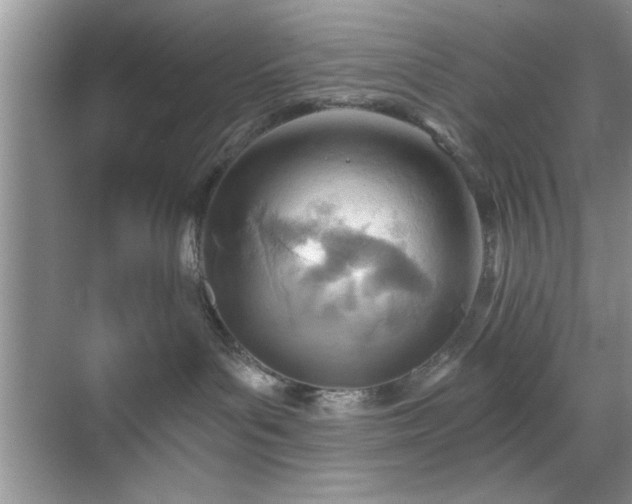 X0000070360143200606121219