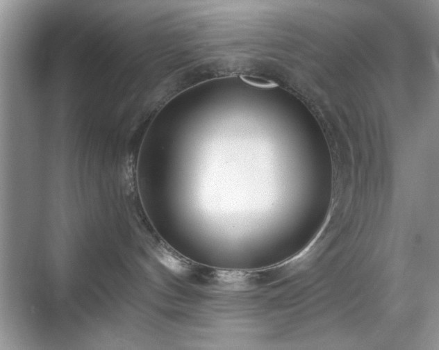 X0000070360144200606121219