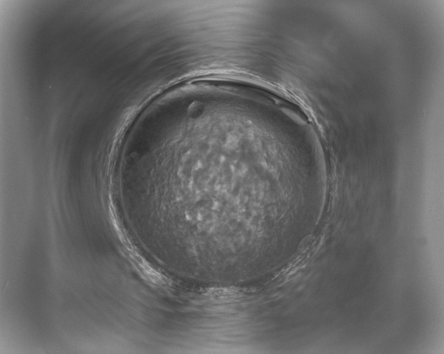 X0000070360145200606121218