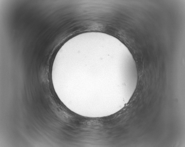 X0000070360146200606121218