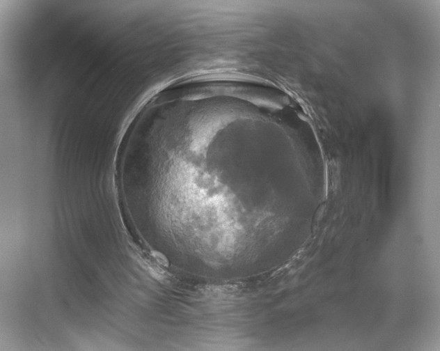 X0000070360147200606121218