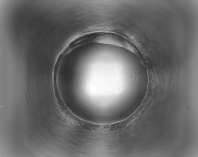 X0000070360148200606121218