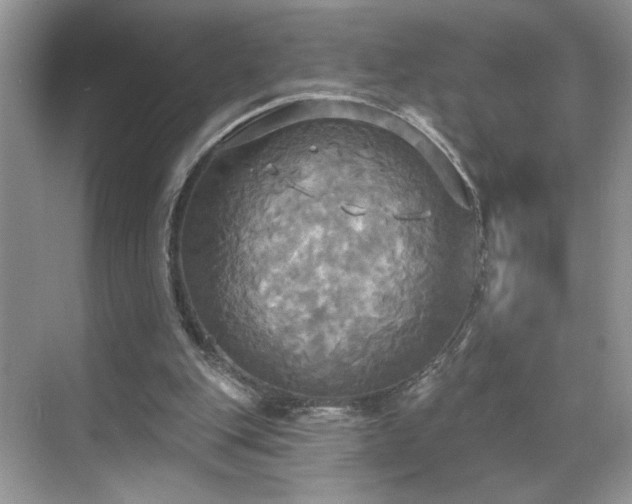 X0000070360151200606121218