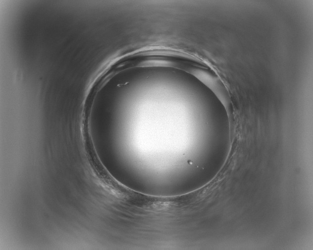 X0000070360152200606121218