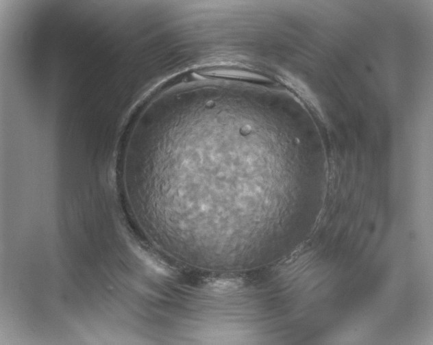 X0000070360155200606121218