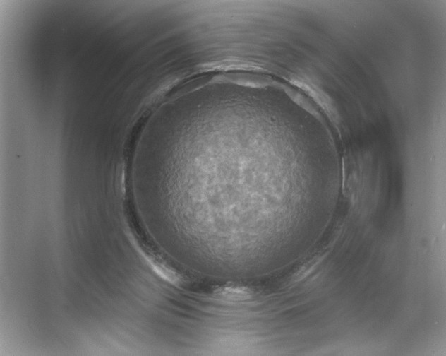 X0000070360157200606121218