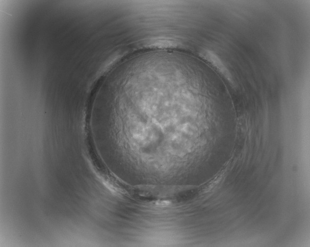 X0000070360159200606121218