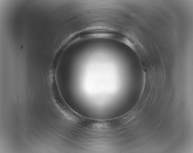 X0000070360160200606121218