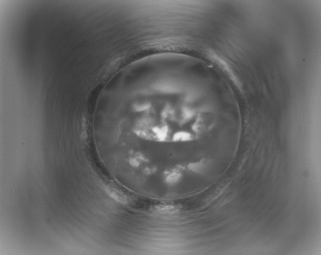 X0000070360161200606121218