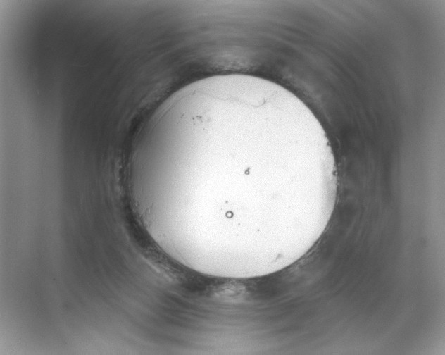 X0000070360162200606121218