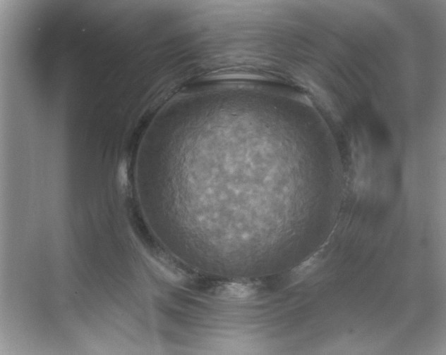 X0000070360166200606121218