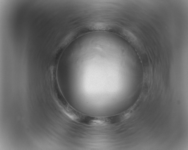 X0000070360167200606121218