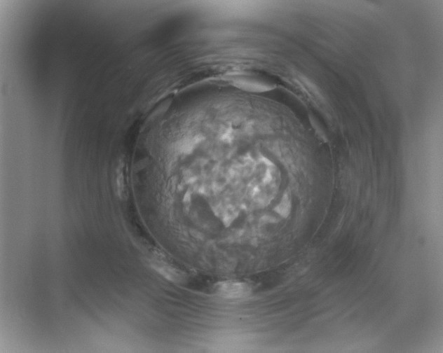 X0000070360169200606121218