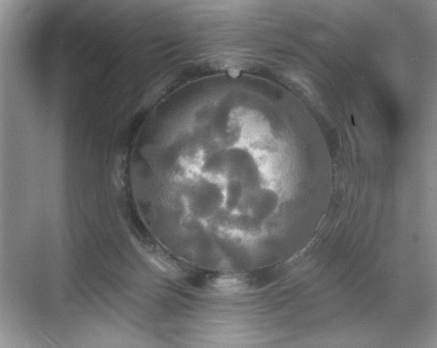 X0000070360171200606121218