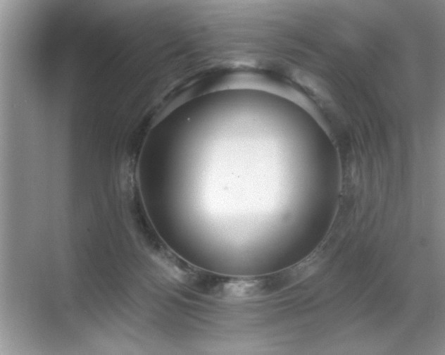 X0000070360172200606121218