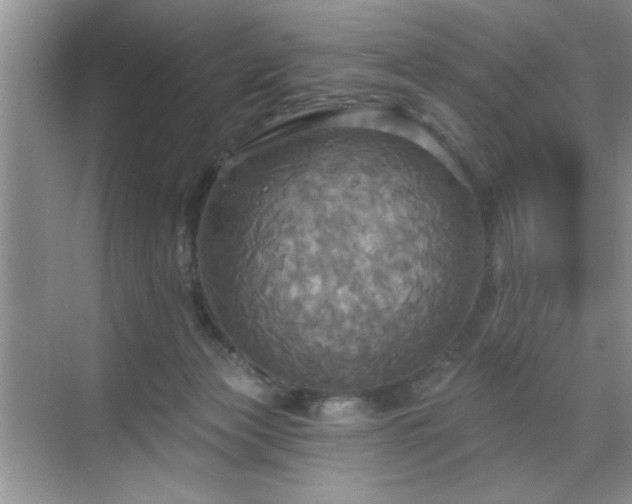 X0000070360173200606121218