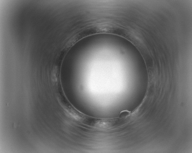 X0000070360174200606121218