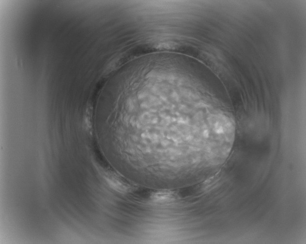 X0000070360175200606121218