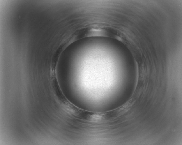 X0000070360176200606121218