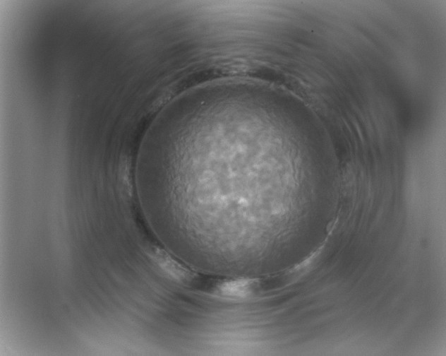 X0000070360178200606121218