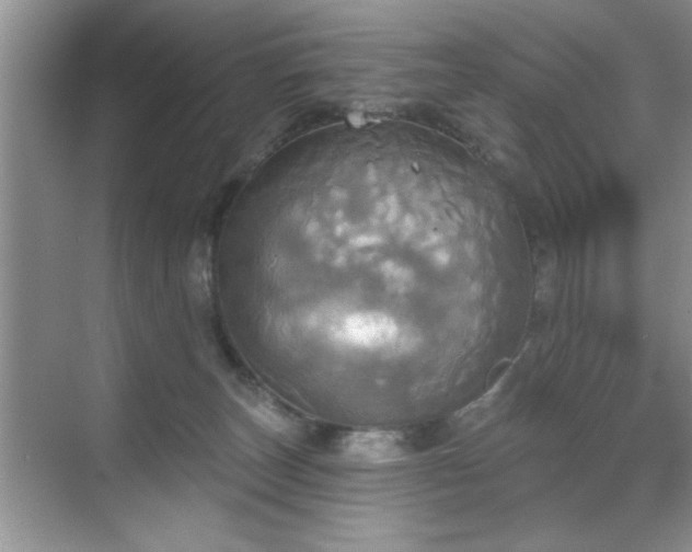 X0000070360179200606121218