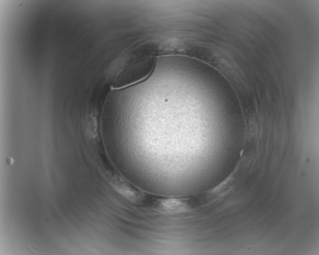 X0000070360183200606121219