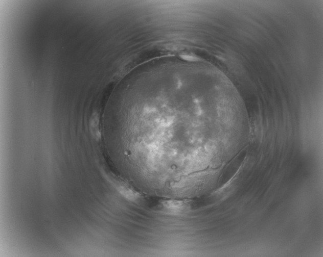 X0000070360187200606121219