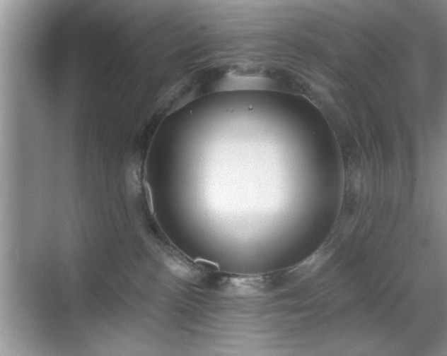 X0000070360188200606121219