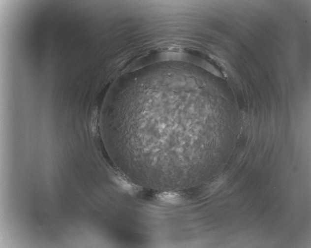 X0000070360189200606121219